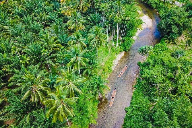 Bamboo Rafting and Sea Turtle Conservation Center Half Day Tour From Khao Lak - Rafting First: Training, Safety Gear, and What You Actually Do