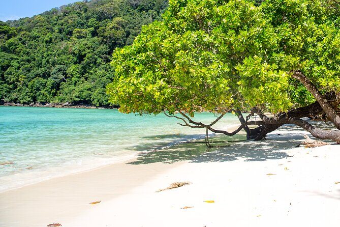 Best Seller - Surin Islands Snorkeling Trip from Khao Lak - Moken village ethics: how to enjoy it without turning it into a show