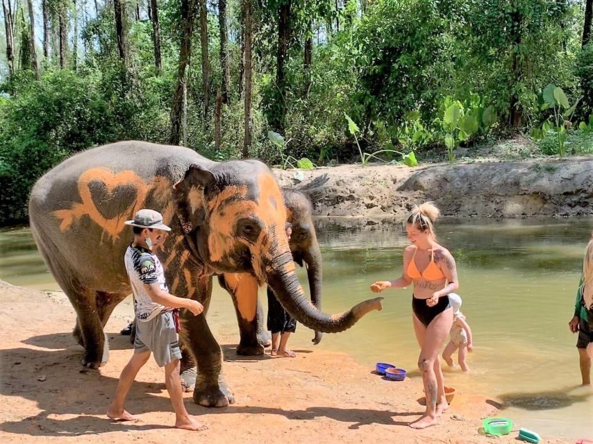 Ethical Elephant Sanctuary Experience in Khao Lak - Why This Ethical Elephant Visit in Khao Lak Feels Different