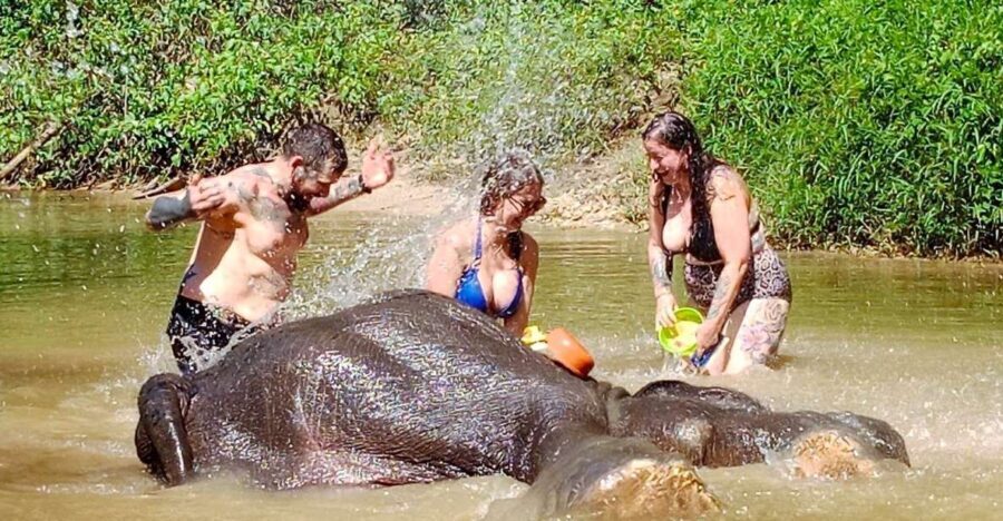 Ethical Elephant Sanctuary Experience in Khao Lak - Who Should Book This Khao Lak Elephant Sanctuary Experience (And Who Might Skip)