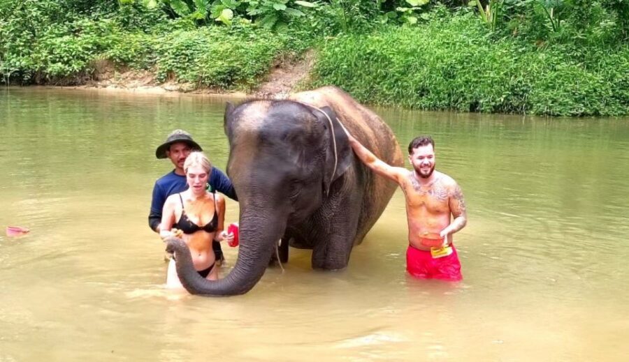 Ethical Elephant Sanctuary Experience in Khao Lak - Getting There: Khao Lak Pickup and the Ride Away From the Noise