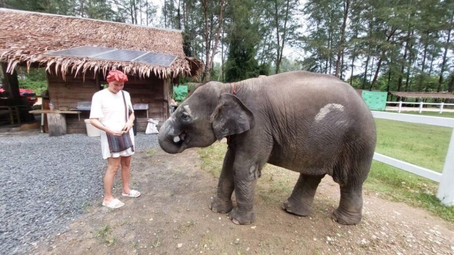 Ethical Elephant Sanctuary Experience in Khao Lak - Thai Culture Bonus: Ya Dom Inhaler and Khanom Krok Cooking