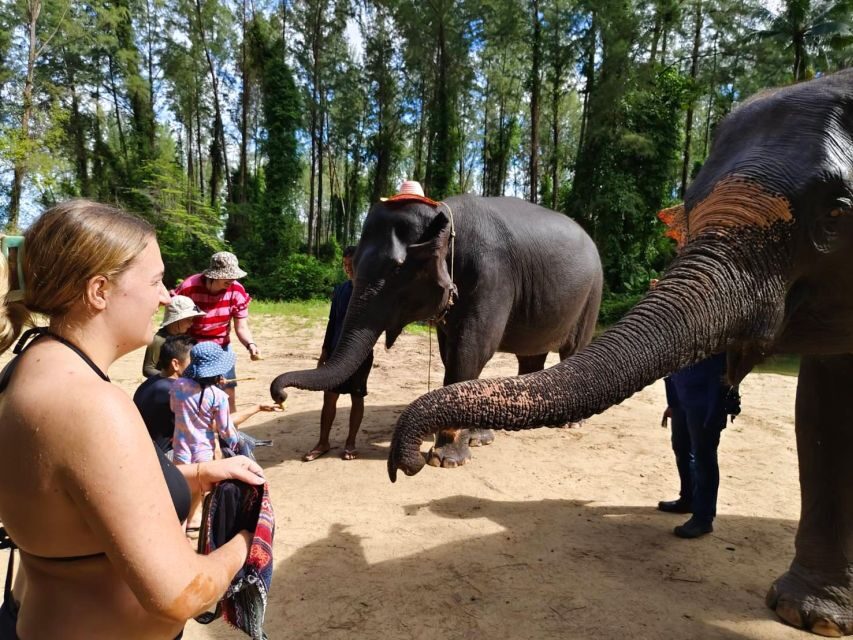 Ethical Elephant Sanctuary Experience in Khao Lak - Timing and What You’re Really Paying For (It’s Not Just the Elephants)