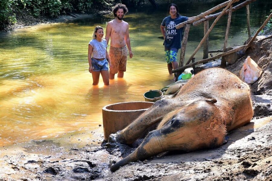 Ethical Elephant Sanctuary Experience in Khao Lak - Comfort, Packing, and Small Reality Checks