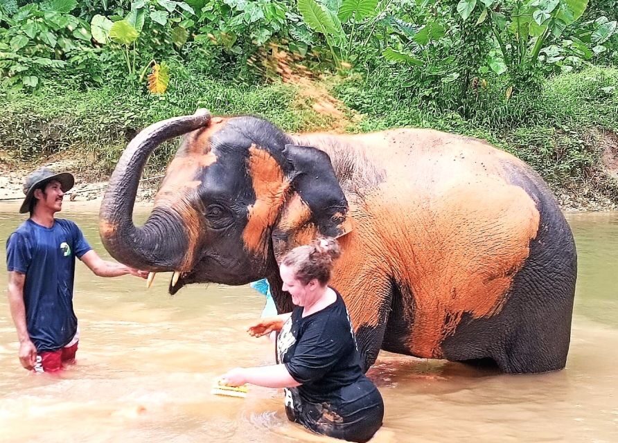 Ethical Elephant Sanctuary Experience in Khao Lak - Entering Khao Lak Elephant Conservation: The Welcome Brief You Actually Need