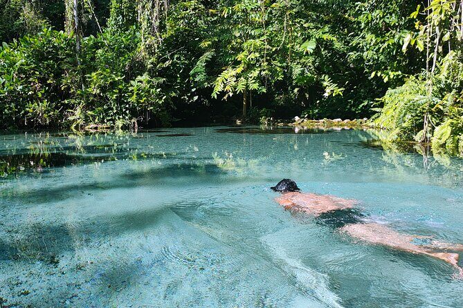 From Khao Lak : Cheow Lan Lake & Nam Rad Emerald Pool - Frog Island lunch: Thai food, big views, and quiet time