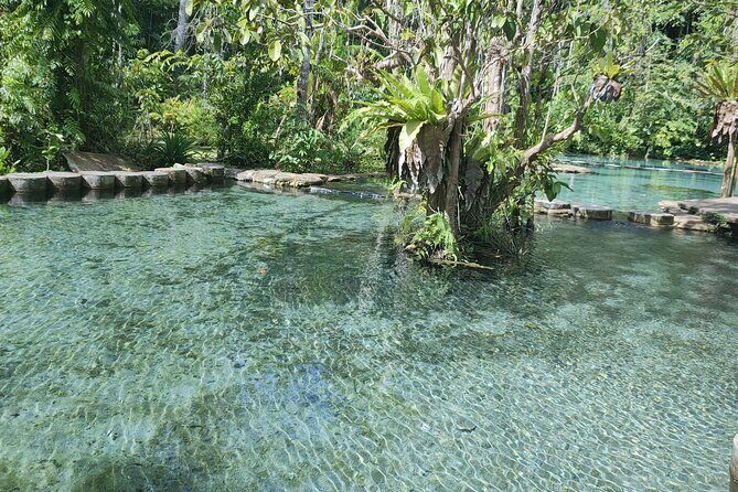 From Khao Lak : Cheow Lan Lake & Nam Rad Emerald Pool - Who this tour suits best (and who might not)