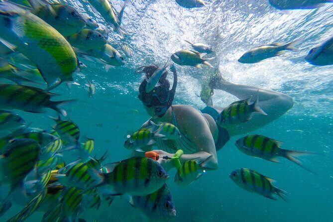 From Khao Lak : Phi Phi Islands Adventure Day Trip with Lunch - Speedboat ride reality: enjoy the views, respect your stomach