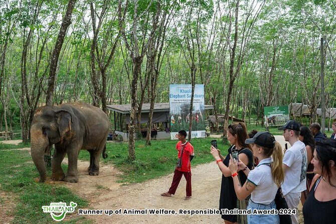Guide Tour to Khaolak Elephant Sanctuary in Small Group - Key highlights to know before you go