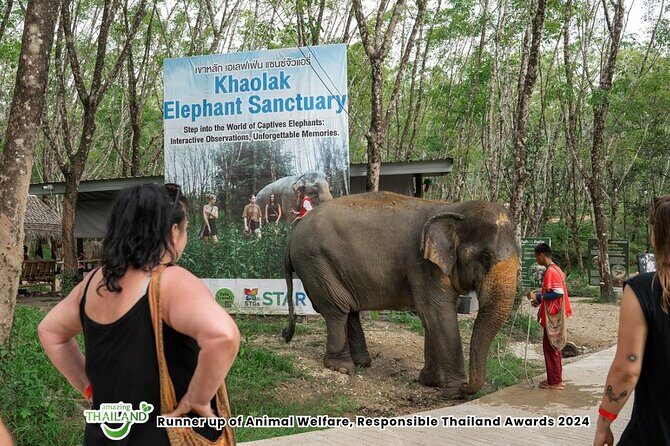 Guide Tour to Khaolak Elephant Sanctuary in Small Group - The 90-Minute Flow: What You’ll Do From Arrival to Return