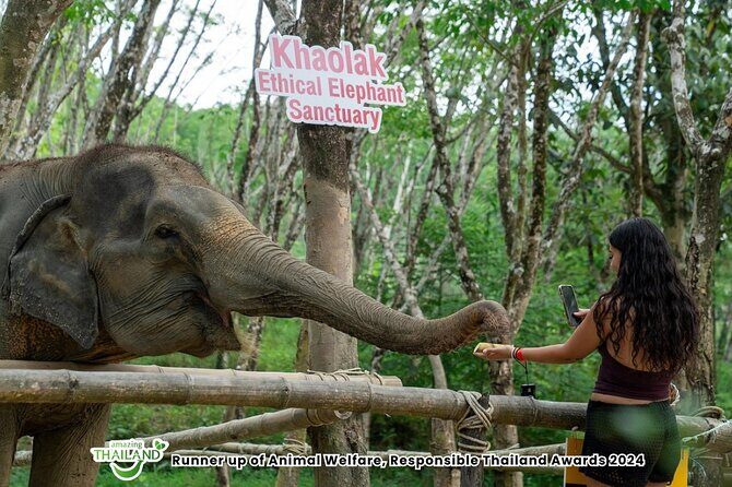 Guide Tour to Khaolak Elephant Sanctuary in Small Group - Ethical Interaction Rules: No Riding or Bathing