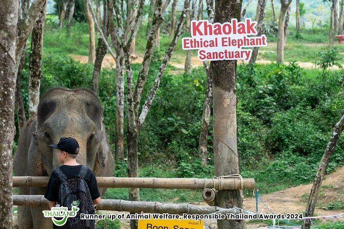 Guide Tour to Khaolak Elephant Sanctuary in Small Group - Meet the Guides: Tony, Mae, Spiderman, and Tim