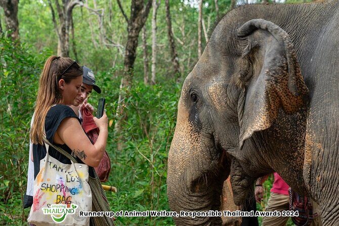 Guide Tour to Khaolak Elephant Sanctuary in Small Group - Price and Value: Why Around $58.66 Can Make Sense