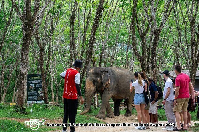 Guide Tour to Khaolak Elephant Sanctuary in Small Group - Timing, Mosquitoes, and What to Wear in Khao Lak