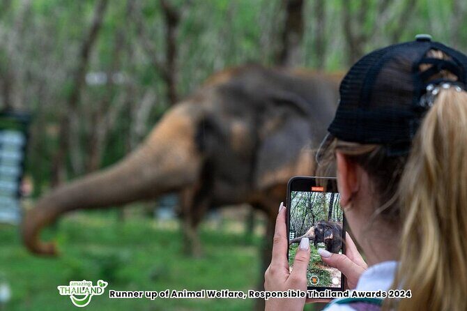 Guide Tour to Khaolak Elephant Sanctuary in Small Group - Who Should Book This Tour (and Who Might Want to Think Twice)