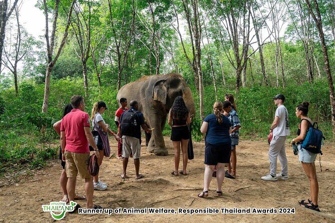Guide Tour to Khaolak Elephant Sanctuary in Small Group - Feeding Elephants and Walking Through River Trees