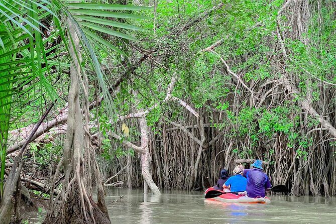 Half Day Canoe Boat Trip At Takuapa Little Amazon - Key highlights of the Takua Pa Little Amazon canoe trip