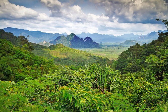 Half Day : Sok River + Monkey Temple + View Point - Khao Sok View Point: morning mist and the big picture