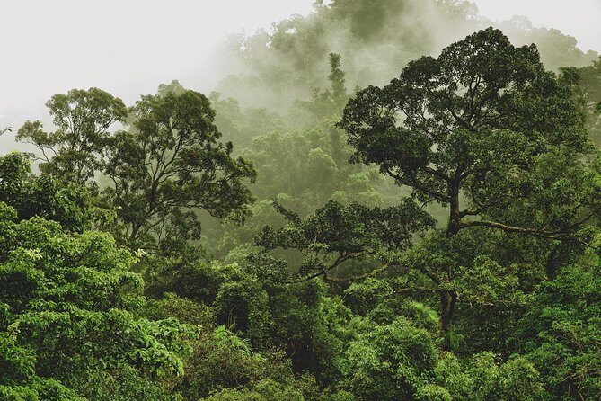 Half Day : Sok River + Monkey Temple + View Point - What’s included for $61: value that adds up