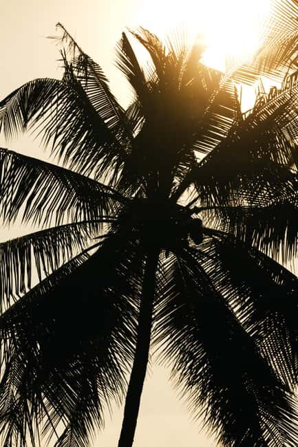 Khao Lak: 1.5-Hour Small Group Surfing Experience - A realistic takeaway: you’ll come away with confidence, not just photos