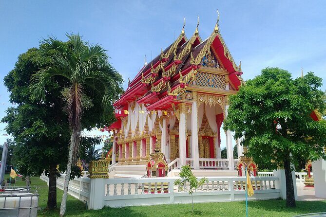Khao Lak Eco-Safari: Elephants, Tsunami Museum, and Turtles - Price and value: what $122.36 really covers