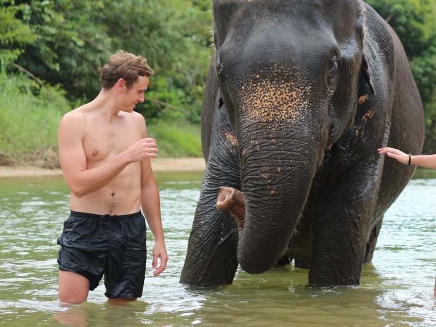 Khao Lak: Elephant Bathing and Turtle Center Visit - Key highlights at a glance