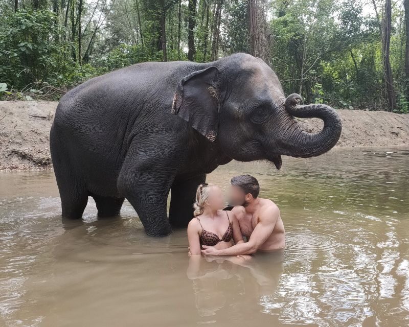 Khao Lak: Elephant Bathing and Turtle Center Visit - Mahouts and Elephant Behavior: The Part That Makes It Feel Real