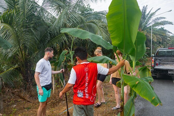 Khao Lak Elephant Sanctuary Full Day Small Group Tour - The lunch hour you earned: cooking class for Pad Thai, Som Tam, Tom Yum, mango sticky rice