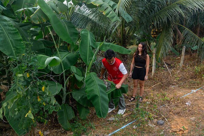 Khao Lak Elephant Sanctuary Full Day Small Group Tour - 2pm sustainability stop at a local gardener: the softer side of the day
