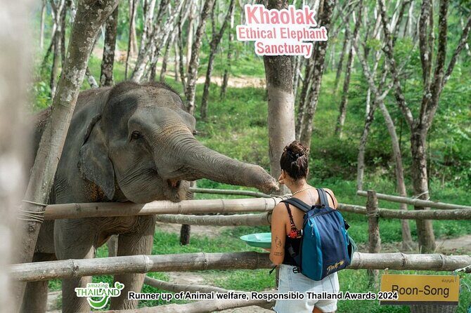 Khao Lak Ethical Elephant Sanctuary Conservation Experience - Key Highlights You’ll Feel Right Away
