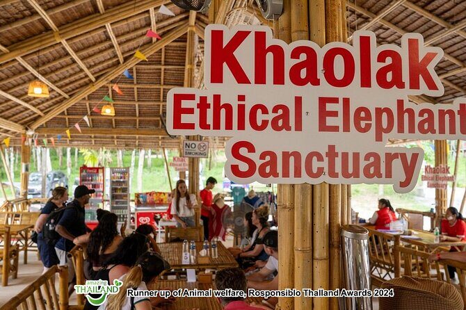 Khao Lak Ethical Elephant Sanctuary Conservation Experience - The 30-Minute Flow: What You Can Expect on the Ground