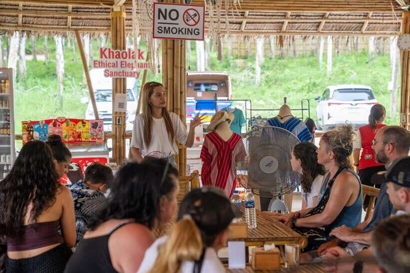 Khao Lak Guided Nature Walk & Elephant Experience - Price and value: is $51 for 90 minutes fair?