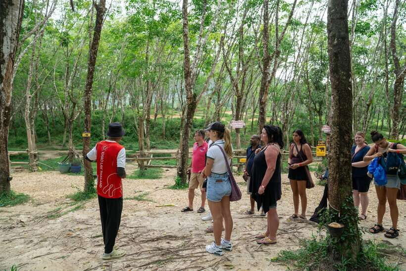 Khao Lak Guided Nature Walk & Elephant Experience - Practical tips to help your morning go smoothly