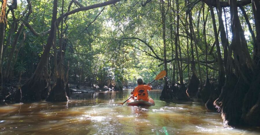Khao Lak: Little Amazon Canoe Ride & Tam Nang Waterfall Tour - Key Things You’ll Actually Care About