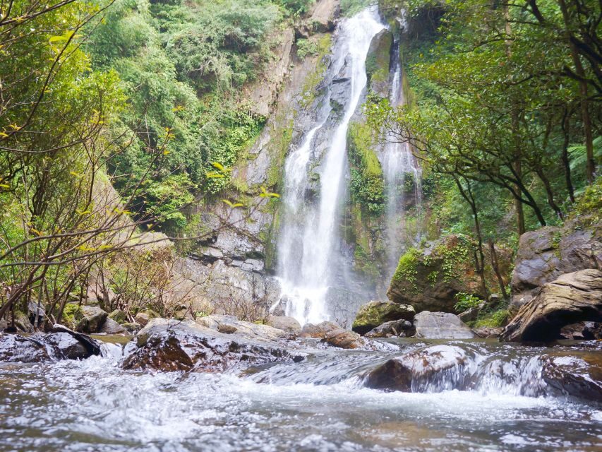 Khao Lak: Little Amazon Canoe Ride & Tam Nang Waterfall Tour - Tam Nang Waterfall Swim: Fish, Cool Water, and a Chance to Slow Down
