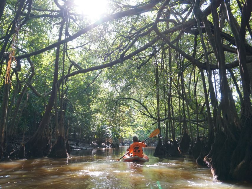 Khao Lak: Little Amazon Canoe Ride & Tam Nang Waterfall Tour - Tide-Based Order: Why Your Schedule Might Flip