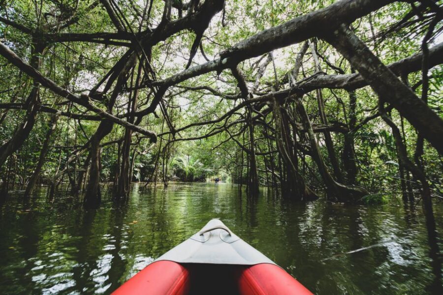 Khao Lak: Little Amazon Canoe Ride & Tam Nang Waterfall Tour - Guides You Can Count On (Gay, Praew, Laura, and More)