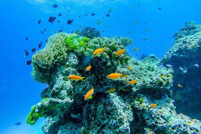 Khao Lak/Phuket: Wow Andaman Snorkeling Trip to Surin Islands - Koh Surin Nua: Thai lunch on the islands plus beach time
