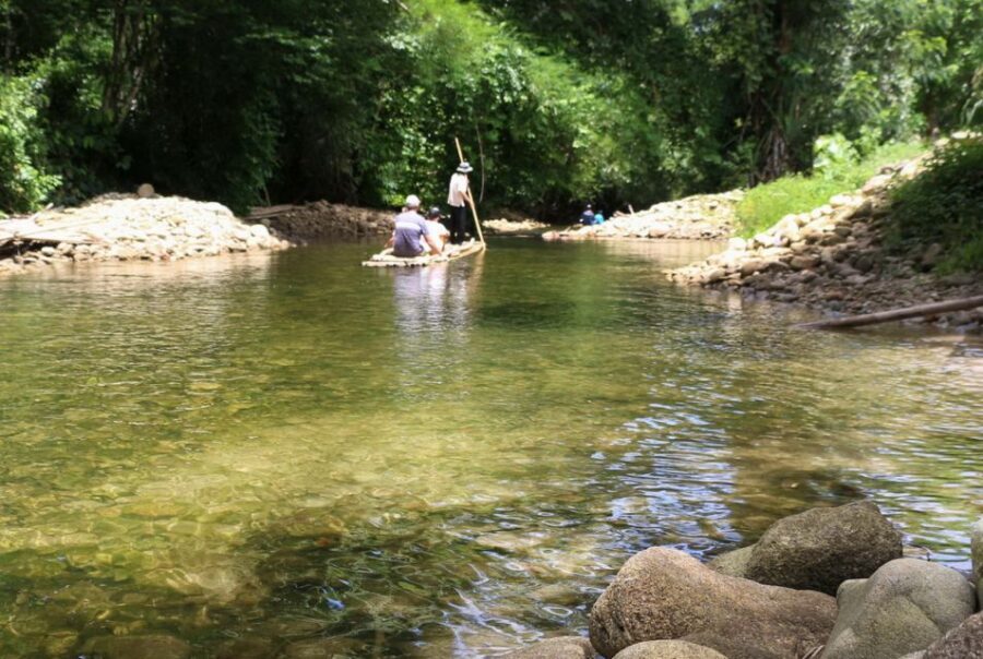 Khao Lak: Raft Expedition & Sea Turtle Conservation Center - Royal Thai Navy sea turtle conservation: why this stop matters