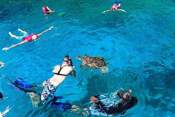 Khao Lak to Similan Islands Snorkeling Tour - Price and logistics: what your $100.85 really buys