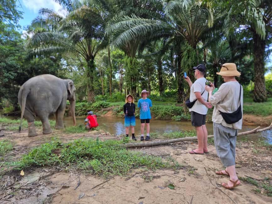 Khao Lak: Waterfall,Sea Turtle,Elephant Care,Meal & Transfer - Khao Lak Elephant Sanctuary: Walking with Rescued Elephants, Ethically