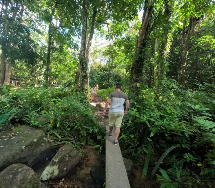 Khao Lak: Waterfall,Sea Turtle,Elephant Care,Meal & Transfer - Your Elephants Step-By-Step: What the 2 Hours Typically Feels Like