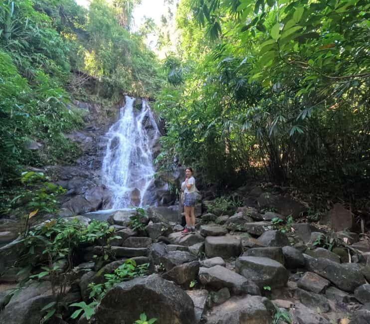 Khao Lak: Waterfall,Sea Turtle,Elephant Care,Meal & Transfer - Sea Turtle Conservation Center: Why Young and Injured Turtles Matter