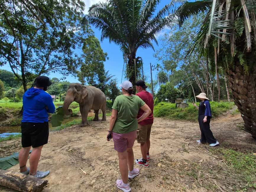 Khao Lak: Waterfall,Sea Turtle,Elephant Care,Meal & Transfer - Price and Logistics: Does $73 Actually Make Sense?