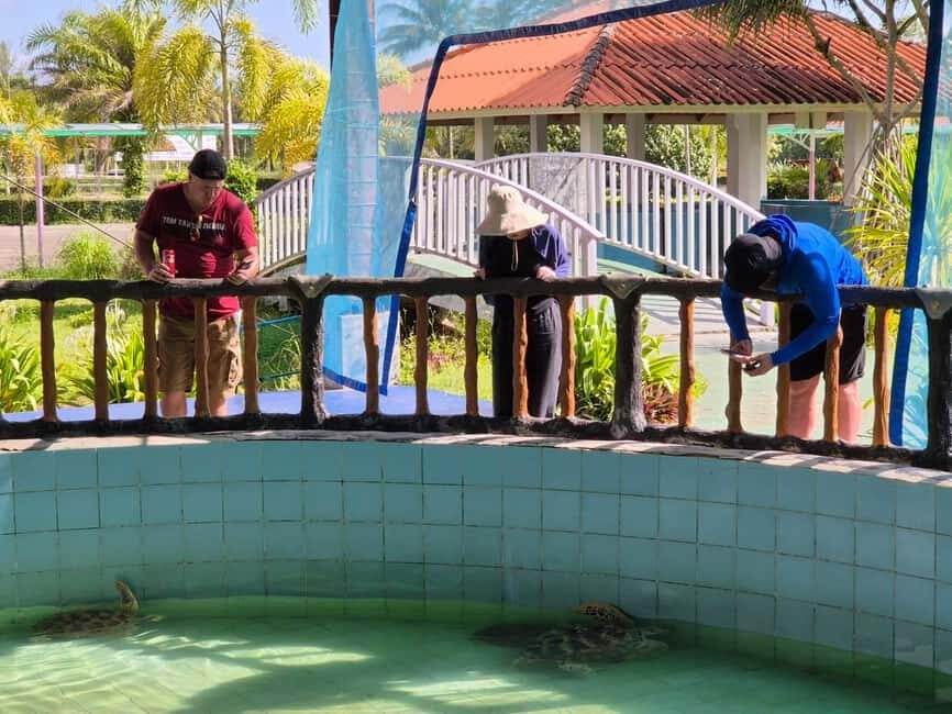 Khao Lak: Waterfall,Sea Turtle,Elephant Care,Meal & Transfer - Getting Picked Up in Khao Lak Without Stress