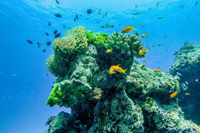 Khao Lak: Wow Andaman Snorkeling Trip to Similan Islands - Stop 2 and 3: gear, breakfast, and a safety-first cruise
