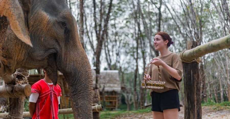 Khao Lak’s Best: Elephant Sanctuary,Rubber Tapping&Waterfall - A 90-minute Khao Lak mix that stays practical