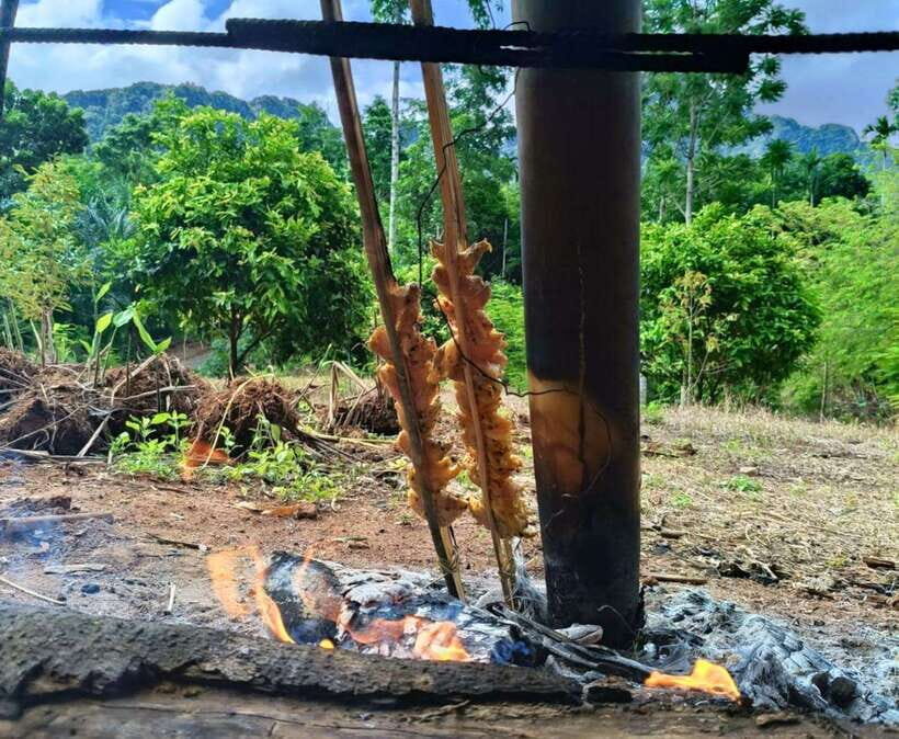 Khao Sok: Private Authentic Jungle Cooking Experience - The small details that make it smoother