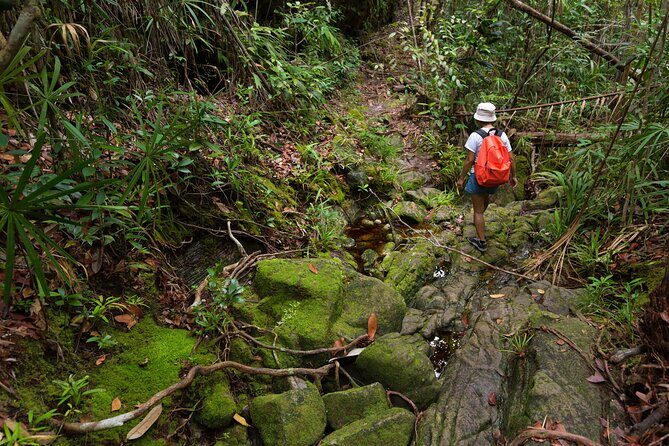 Khao Sok Rainforest | Hiking & Bamboo Rafting - Your Stream Swim: Timing, Safety, and What to Expect