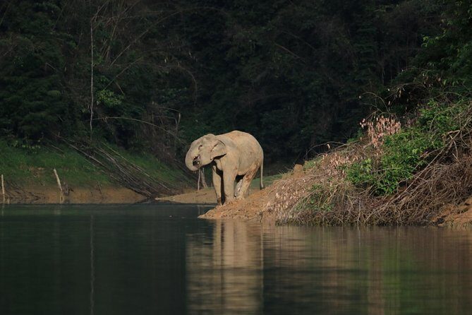 Khao Sok Wildlife 2 Days - Food, Comfort, and the Real Meaning of Roughing It
